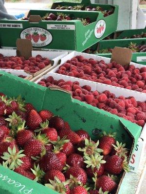 Spooner Berry Farms fresh berries