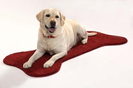 Mo all clean and relaxing on his very own silk smartstrand forever clean doggie bone area rug!