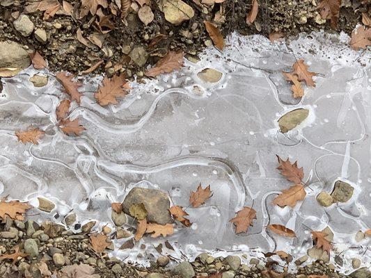 Frozen water