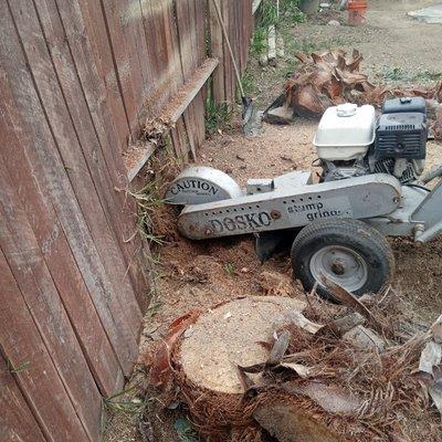 Stump removal