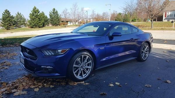 My gorgeous 2016 Mustang I got from Bredemann...