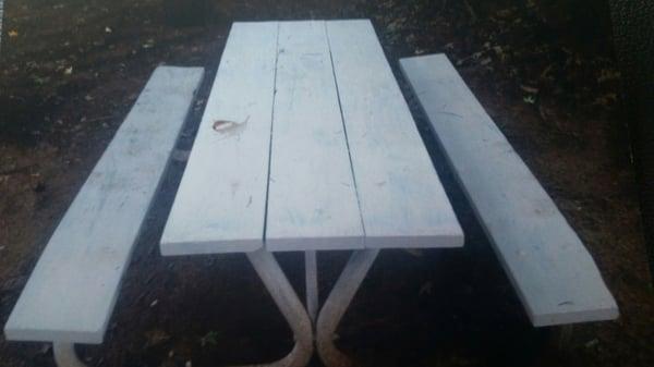 Picnic table Mickey Triplett painted because mgmt failed to properly maintain. Klingbeil Capital Mgmt later had him criminally charged.