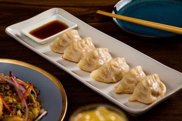 Pan fried pork dumplings