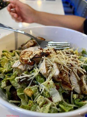 Chicken Caesar Salad