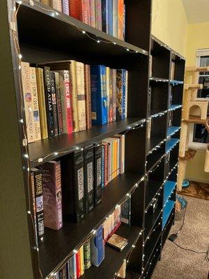 Sparkling bookcases