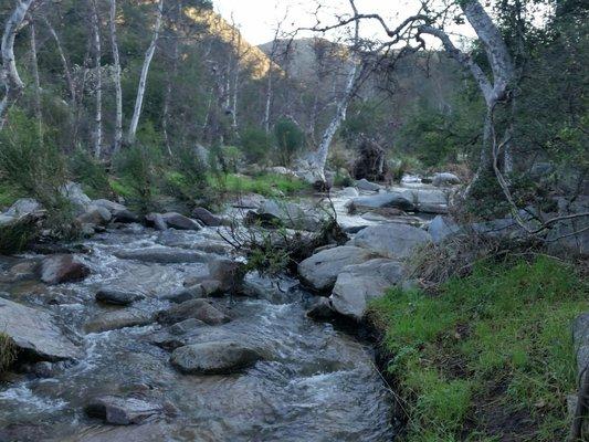 Creek is running good