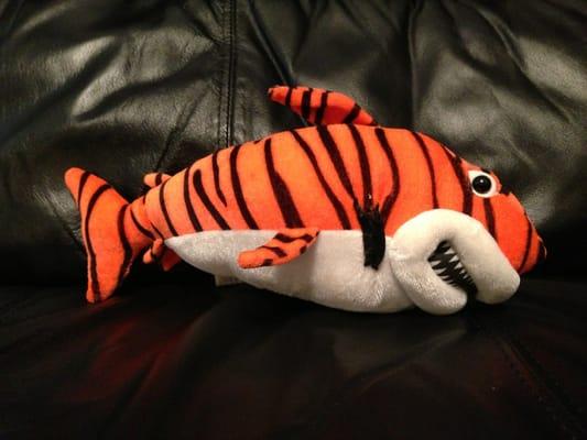 Tiger shark LOL