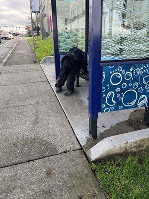 Drug addict outside of t mobile, city of Bellevue needs to do better