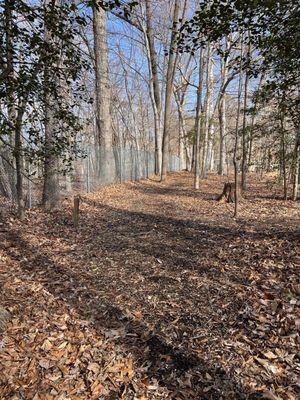 Walking trail