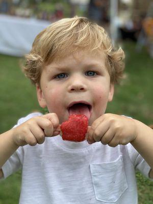 Local popsicles!