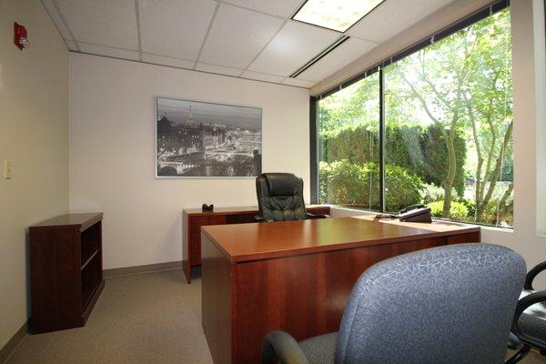 Furnished Office