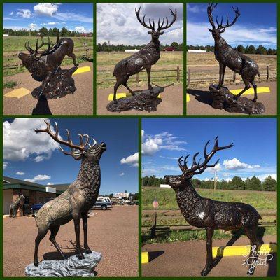 Gorgeous Life-Sized Elks !!! Great for your landscape.  ORDER NOW !!!