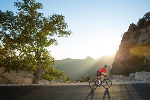 Black Label Road Cycling Kits