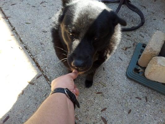 we like our snack when we are outside and you come to clean our yard. YUM!