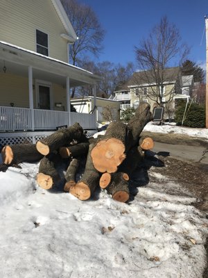 The wood was neatly piled up for pickup. A neighbor decided to use it for firewood so all was good.