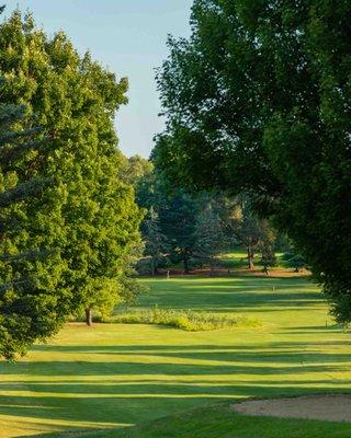 Hole #4 at Alpine Golf Course