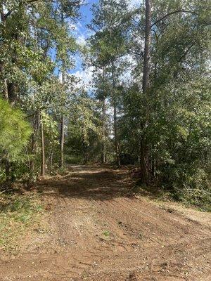 Cleared driveway