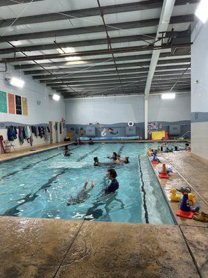 Steve Wallen Swim School