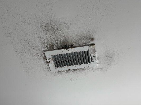 Mold from ducts