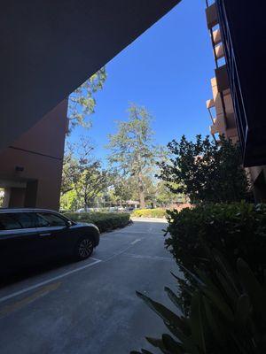 Webster House Health Center Driveway