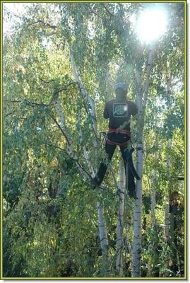 Climber at work!