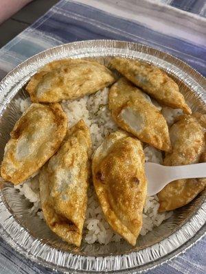 Fried Potsticker