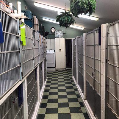 Kennel