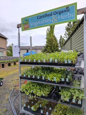 Fang and Feather is now Fang and FLOWER! Organic veggies and pet-safe flowers are now available in their brand new Garden Center!