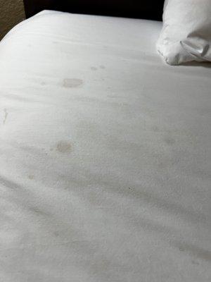 These were the sheets on my bed. Again looking like dried blood.