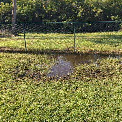 Flooding and mosquitoes.