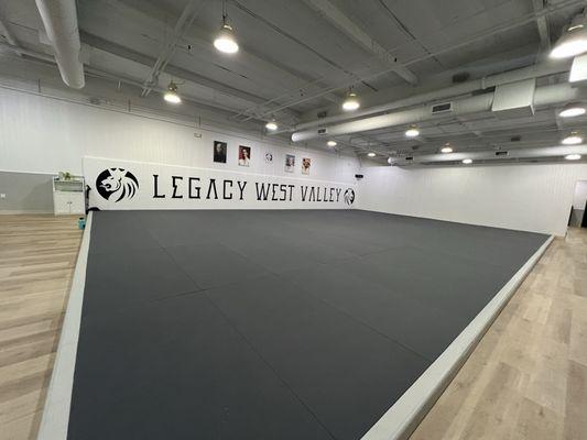 Main mat area