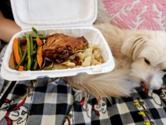 Lunch @Nuuanu Okazuya; 2/23/2024. Hubby David Smaller portion Lunch than mine?? & he puts his Food too close to my Anela Bella :).