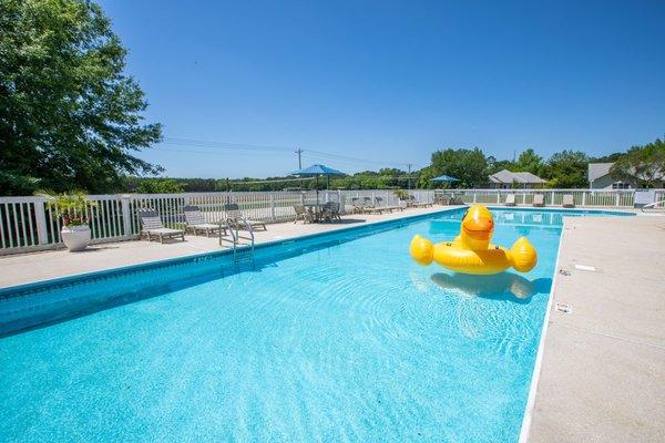 Saltwater Pool