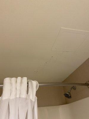 Ceiling paint falling off during your shower