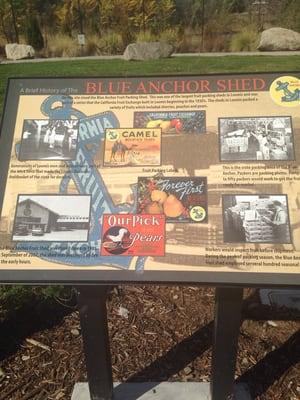 Blue Anchor Shed historical info