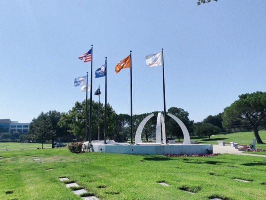 Military gravestones, rose bushes surrounding the flags