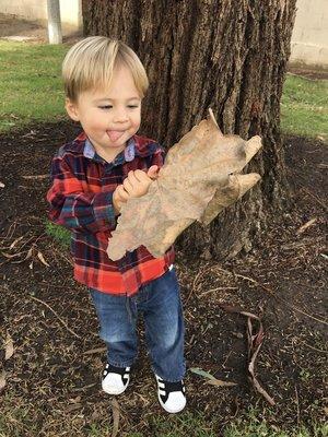 Nature all around us!  I am a movement specialist, so we enjoy being outdoors.  We learn about plants, animals, insects, and so much more!