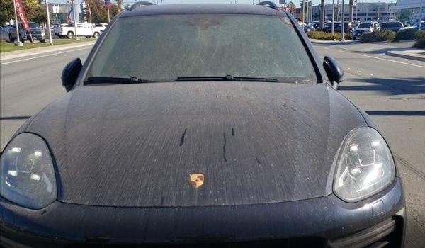 car came covered with the mud of a thousand rains.  note the pink stock mark from dealer lot in top corner. Not washed for delivery