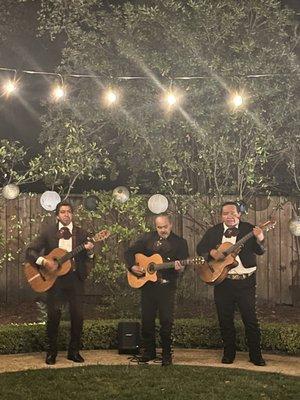 Mariachi Trio playing in our backyard