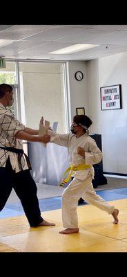 Master Jake and student during board breaking