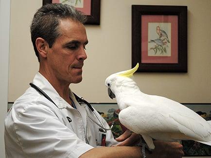 Dr. Byron with an avian patient