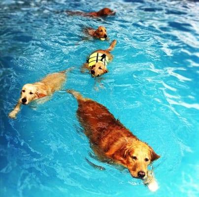 INDOOR ALL SEASON SWIMMING POOL!