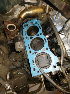 Quality MLS head gaskets.