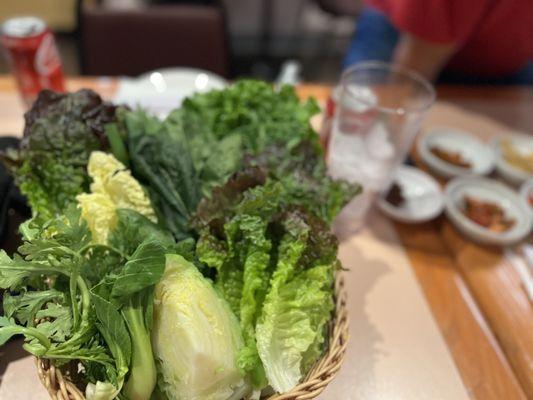 Fresh lettuce for wraps