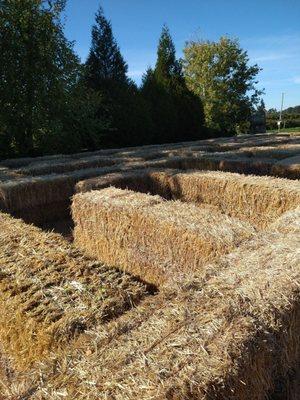 Hay Bale Maze