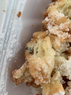 Fly in funnel cake