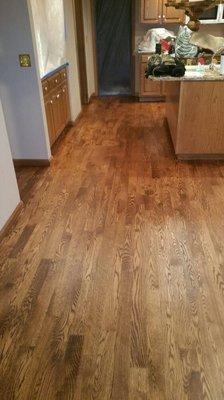 Stained Red oak floor