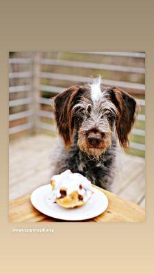 Doggie Treats too!