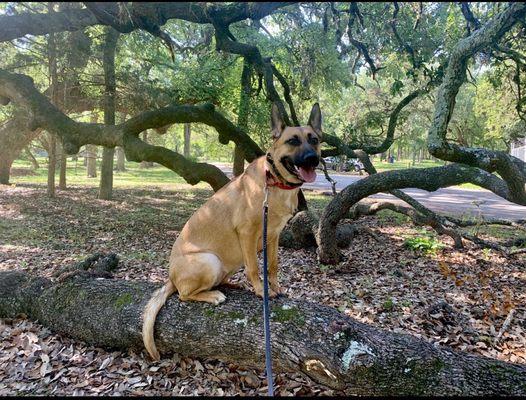 Field trip to the park!!