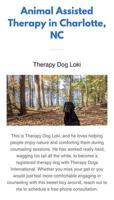 Animal Assisted Therapy in Charlotte, NC. Therapy dog Loki loves comforting people during counseling.